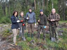 Wspólna akcja sadzenia lasu